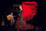 Flamenco puro